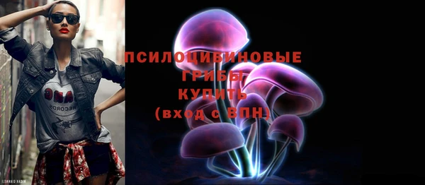 стафф Бронницы