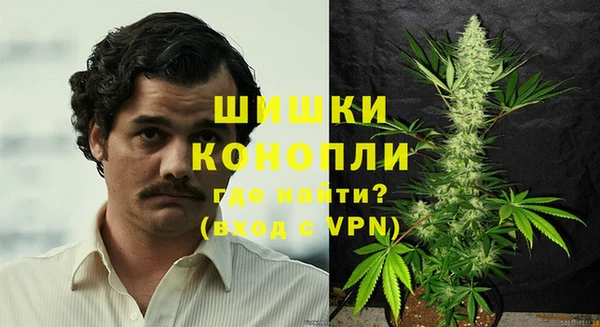 стафф Бронницы